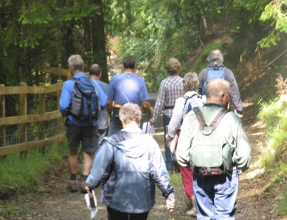 section of Tamar Trails